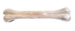 300mm  Pressed Bone x 5